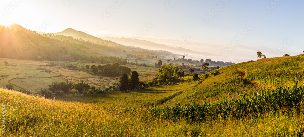 Fototapeta Spring rural landscape, Panoramic view of a picturesque valley in the morning light. Fog,