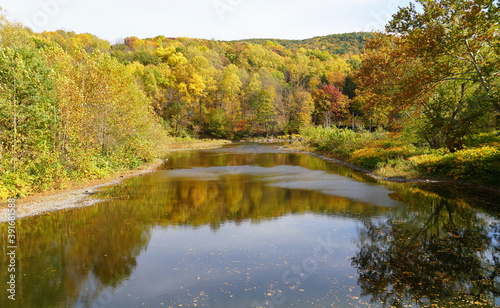 The view of the striking colors of fall foliage by the river near Tunkhannock, Pennsylvania, U.S.A