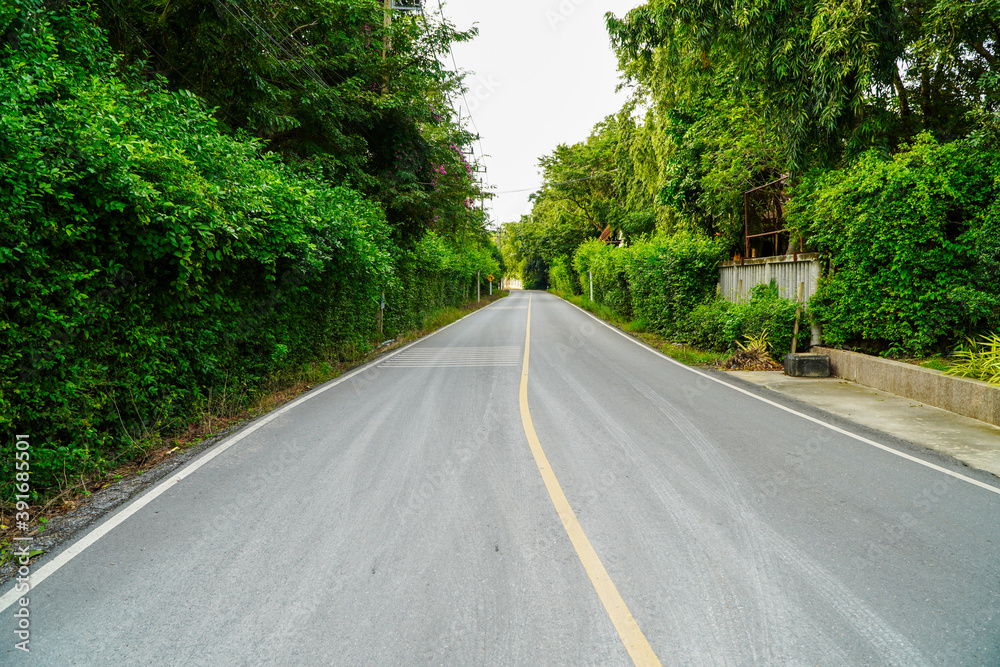 Fototapeta premium Curved road, trees and grass along the road. 