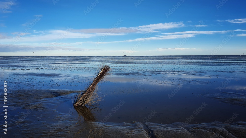 Fototapeta premium Blue panoramic view of the north sea