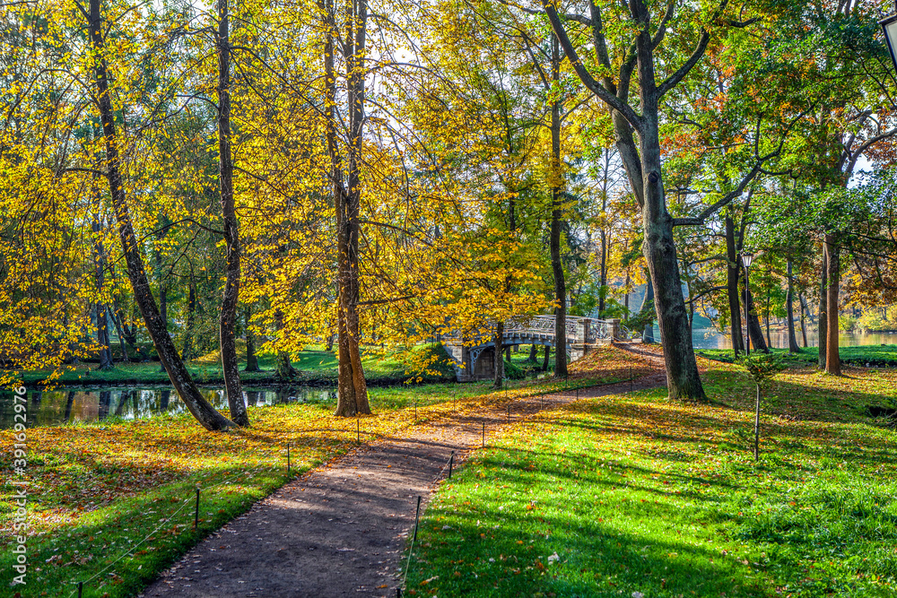 Palace park in autumn. Gatchina. Leningrad region. Russia