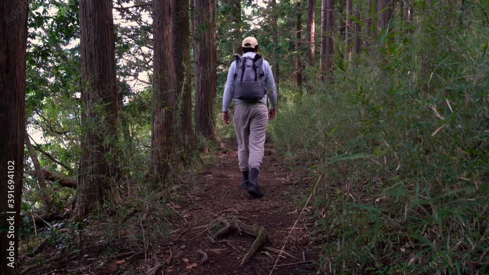 Male hiker walking into frame inside light flooded forest Male hiker walking into frame inside light flooded forest