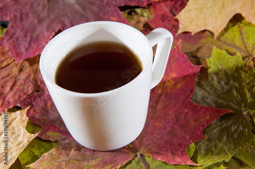 A cup of coffee and maple leaves
