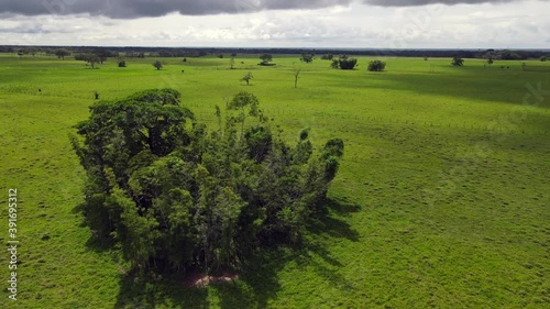 Colombia Eastern Plains - Llanos Orientales 18 photo