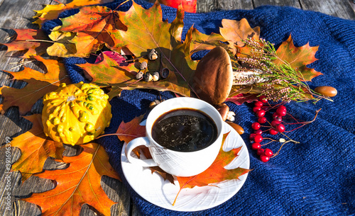 Autumnal maple and oak leaves, cup of black coffee, decorative pumpkin, rowan...