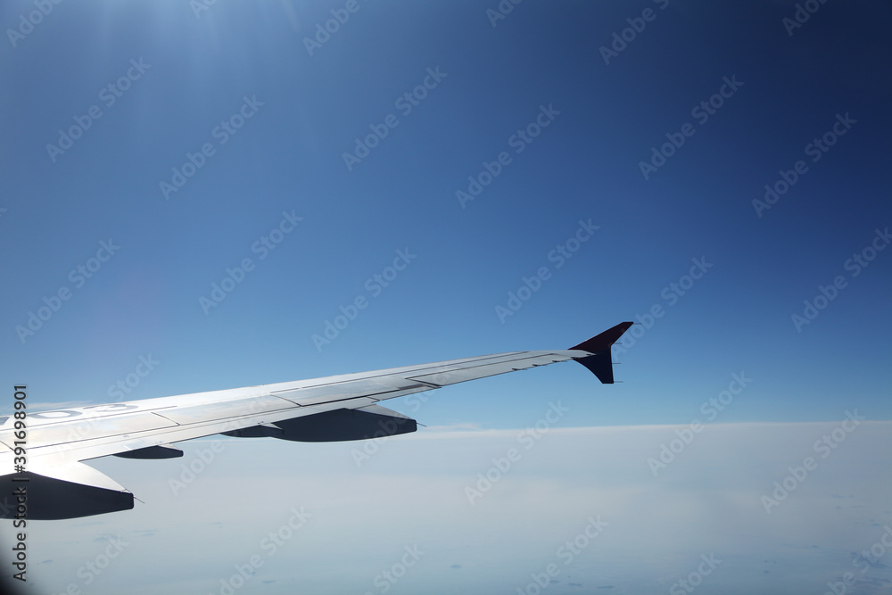 Obraz premium airplane in the sky