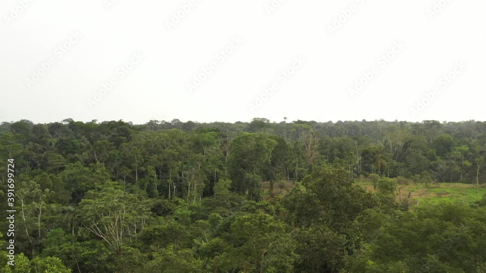 Beautiful drone aerial view of tree tops of amazon rainforest in summer sunny day. Concept of conservation, ecology, biodiversity, global warming, environment and climate change. Beautiful drone aerial view of tree tops of amazon rainforest in summer sunny day. Concept of conservation, ecology, biodiversity, global warming, environment and climate change.