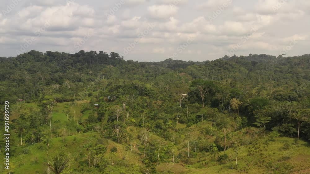 Beautiful drone aerial view of tree tops of amazon rainforest in summer sunny day. Concept of conservation, ecology, biodiversity, global warming, environment and climate change. Beautiful drone aerial view of tree tops of amazon rainforest in summer sunny day. Concept of conservation, ecology, biodiversity, global warming, environment and climate change.