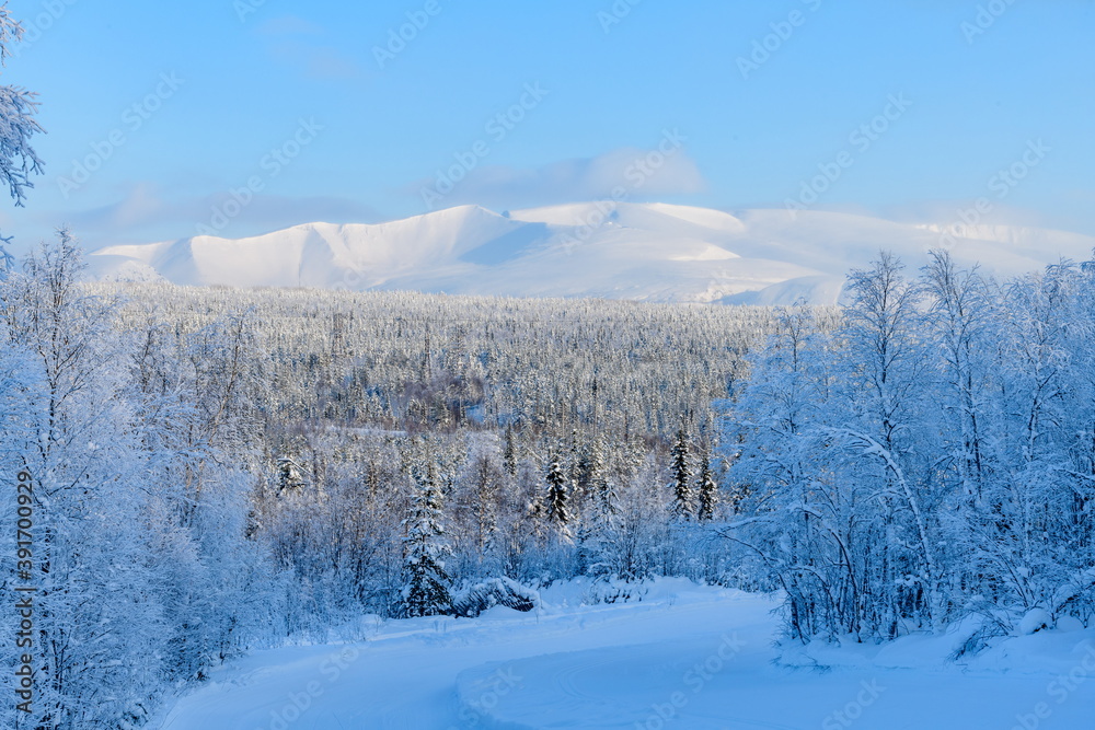 Winter snowy landscape. Mountains in a light haze.