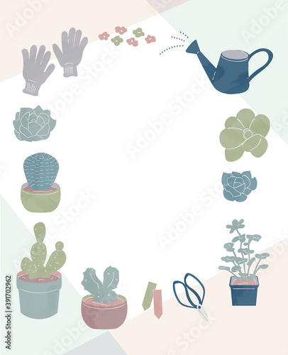 多肉植物　フレーム　ガーデニング　色付き