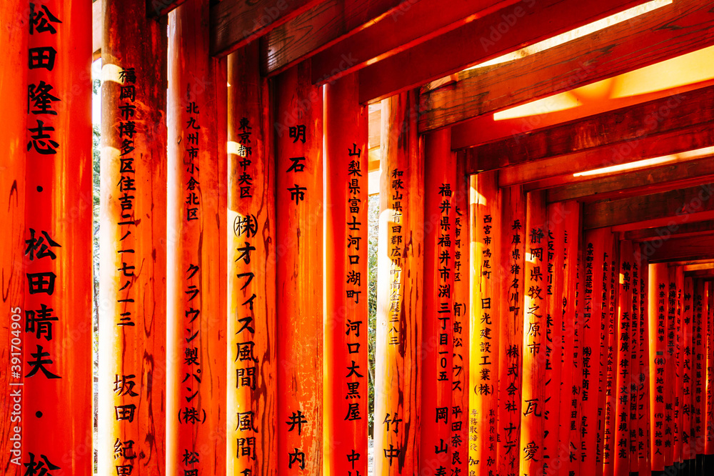 Thousands of red torii gates at Fushimi Inari Taisha Shrine in Kyoto, Japan Thousands of red torii gates at Fushimi Inari Taisha Shrine in Kyoto, Japan