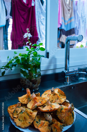 Vertical shot of kanlica mantari on a plate near the sink photo