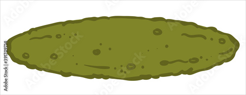 Pickled cucumber, preserved marinated vegetable