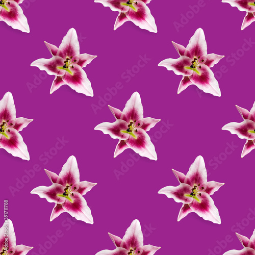 seamless pattern of Lily flower bloom. Lily flowers over pink background seamless texture. flat lay flower pattern