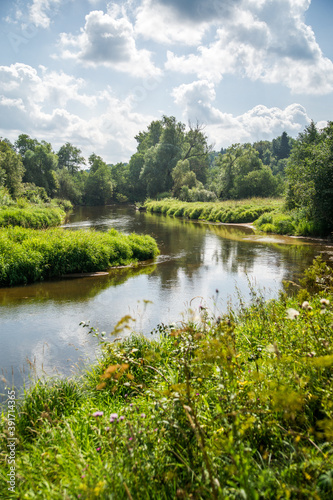 river in the woods