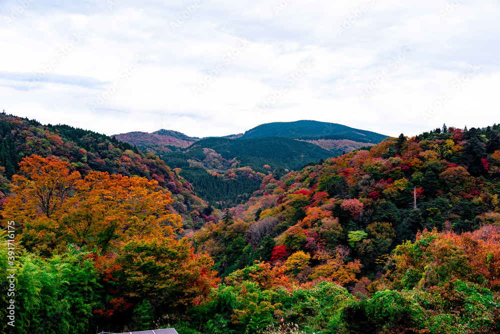 Obraz premium 九酔渓の紅葉