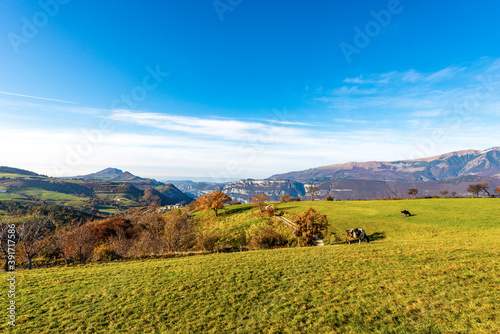 Green pasture on the Lessinia Plateau in autumn, on the right the Monte Baldo (Baldo Mountain), Italian Alps, Verona province, Veneto, Italy, Europe.
