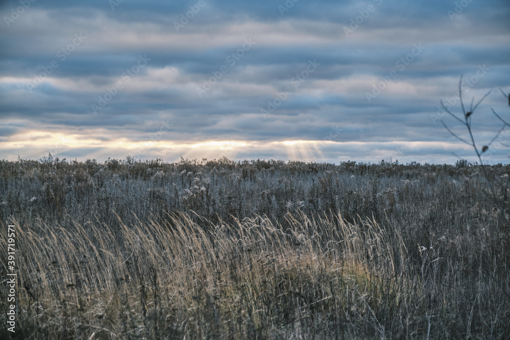 Fototapeta premium Beautiful stormy heavy sky with clouds and sun rays. Beautiful meadow
