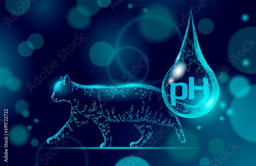 Cat nutrition pH veterinary clinic banner template. Healthy ration diet mineral vitamin pet supplement shop online. Vet care medical help feed cat food vector illustration