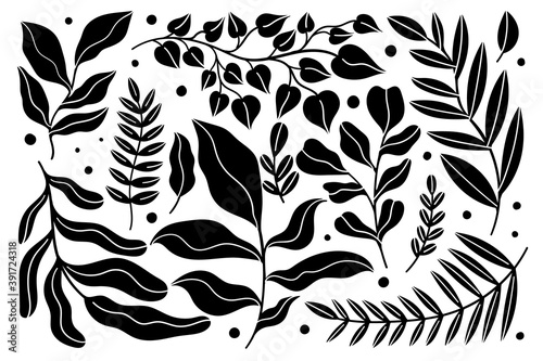 Set plant modern abstract. Floral nature fancy collection.Hand drawing form leave and texture.