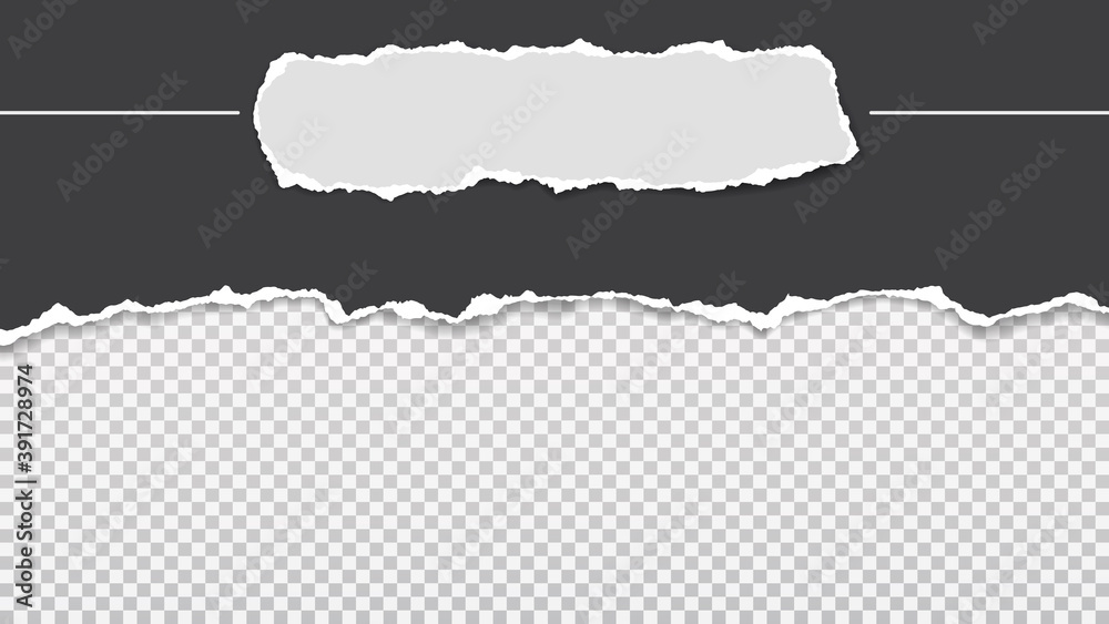 Pieces of torn, ripped black, and white paper with soft shadow are on transparent background for text. Vector illustration Pieces of torn, ripped black, and white paper with soft shadow are on transparent background for text. Vector illustration