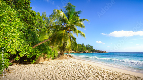 paradise beach on the seychelles