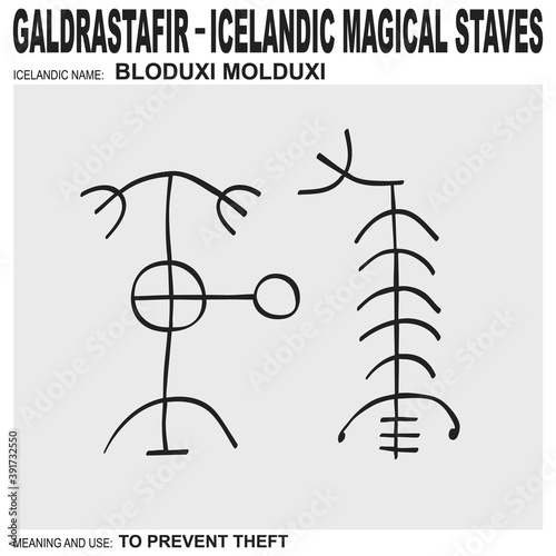 vector icon with ancient Icelandic magical staves Bloduxi Molduxi. Symbol means and is used to prevent theft