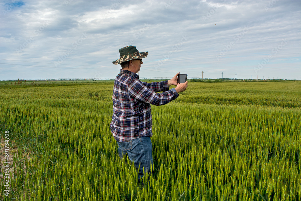 Agronomist in the grain field Agronomist in the grain field