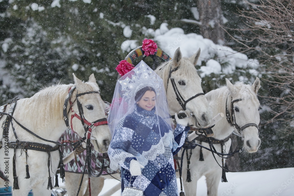 Russian three horse sleigh (russian three horse carriage, russian horse drawn coach). Russian Russian three horse sleigh (russian three horse carriage, russian horse drawn coach). Russian