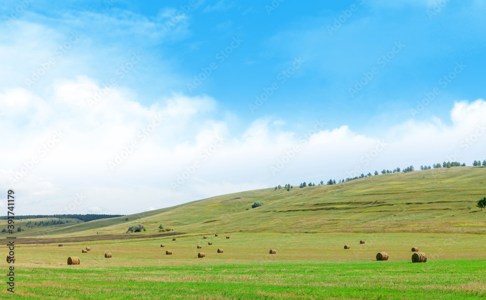 Hay bales harvesting Hay bales harvesting