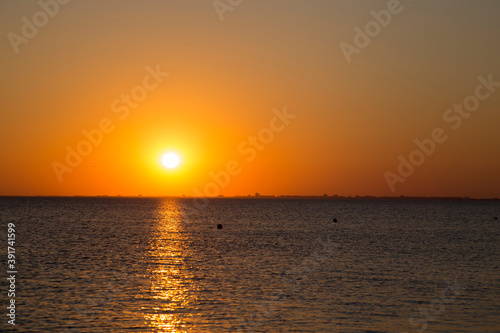 people on the seashore during sunset © antonsov85