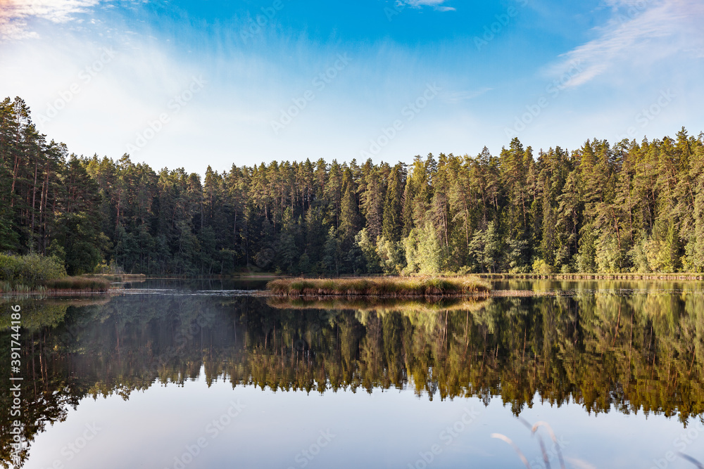 Beautiful forest lake surrounded by pine trees. Reflection in the water.
