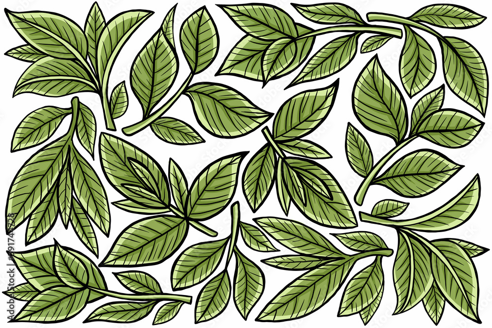 Leaf Graphic Element Leaf Graphic Element