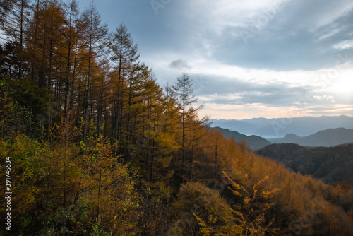 紅葉の風景