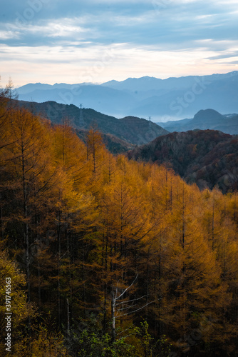 紅葉した山々