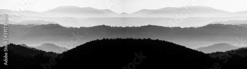 Silhouette von Wald Hügel Berge Landschaft Panorama Banner im Schwarzwald, mit Nebel am Morgen ( schwarz/weiß ) photo