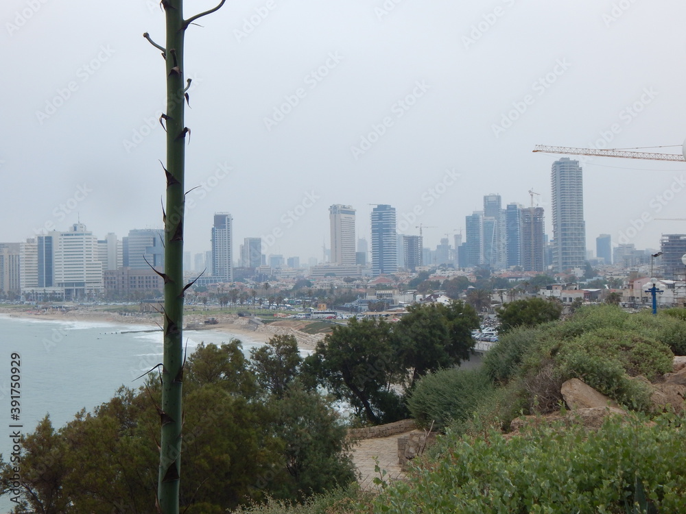 Fototapeta premium view of the city