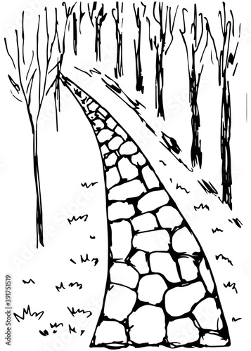 Stone path, alley, trees, a walk in the park, the road into the distance. Vector ink drawing.