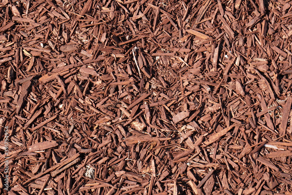 ฺBrown Wood chips on the ground - Background texture - Nature Backdrop ฺBrown Wood chips on the ground - Background texture - Nature Backdrop