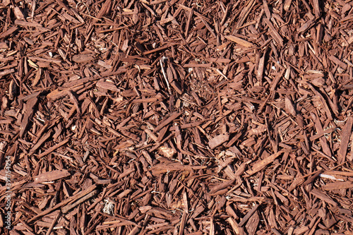 ฺBrown Wood chips on the ground - Background texture - Nature Backdrop