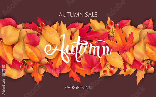 Abstract background with leaves, acorns and berries. Autumnal sale