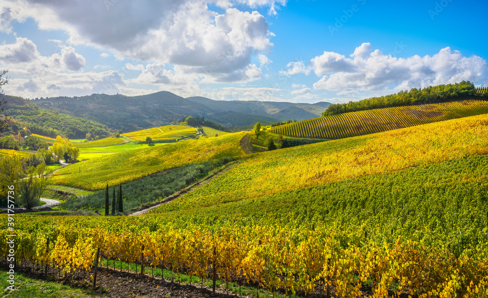 Radda in Chianti vineyard and panorama. Tuscany, Italy