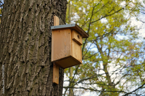 Vogelhaus / Nistkasten für Vögel an einem Baum im Wald, Artenschutz, Umweltschutz, Biodiversität 