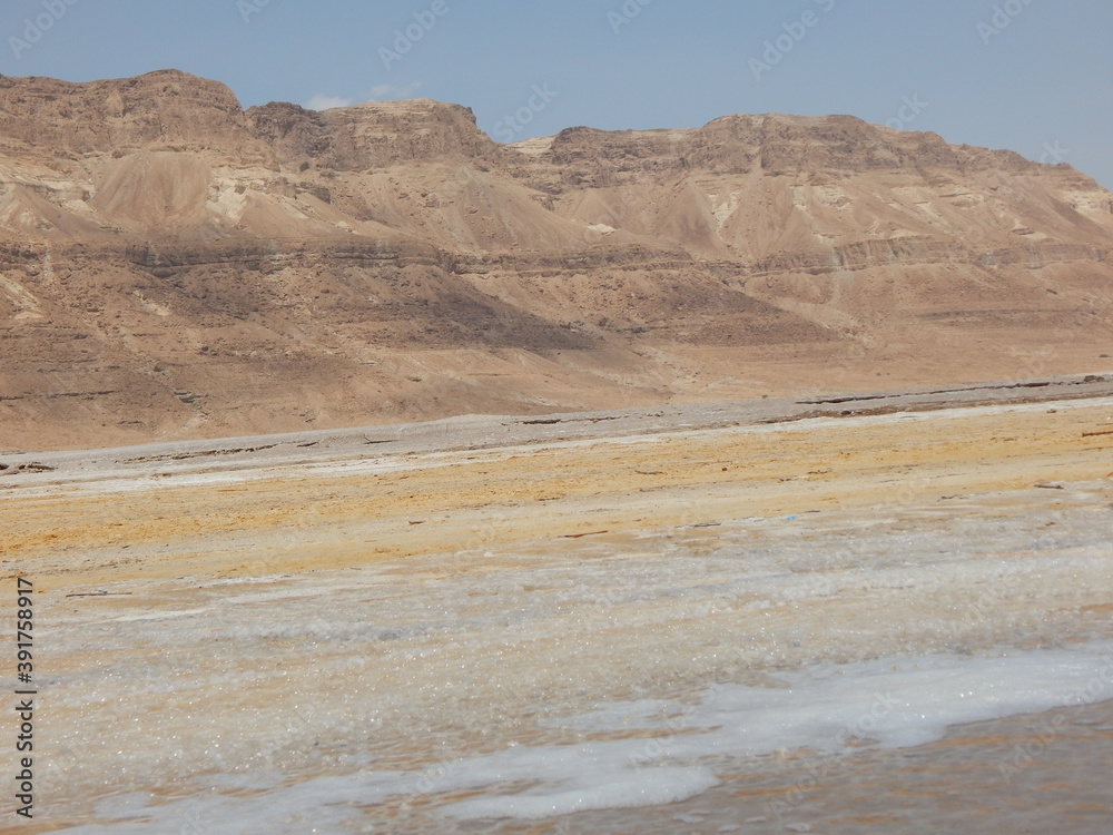 Fototapeta premium park