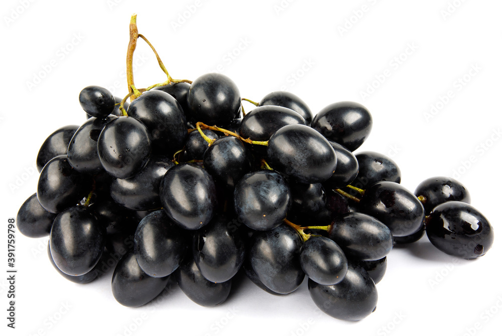 A bunch of black grapes is isolated on a white background.