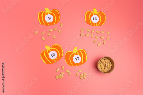 pumpkin seeds counting game for kids. mathematic education concept. preschool activity, pink background top view, addition up to 20 practice