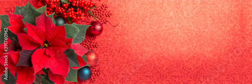 Red poinsettia flower and festive Christmas arrangement on red background. Top view, copy space. Xmas banner.