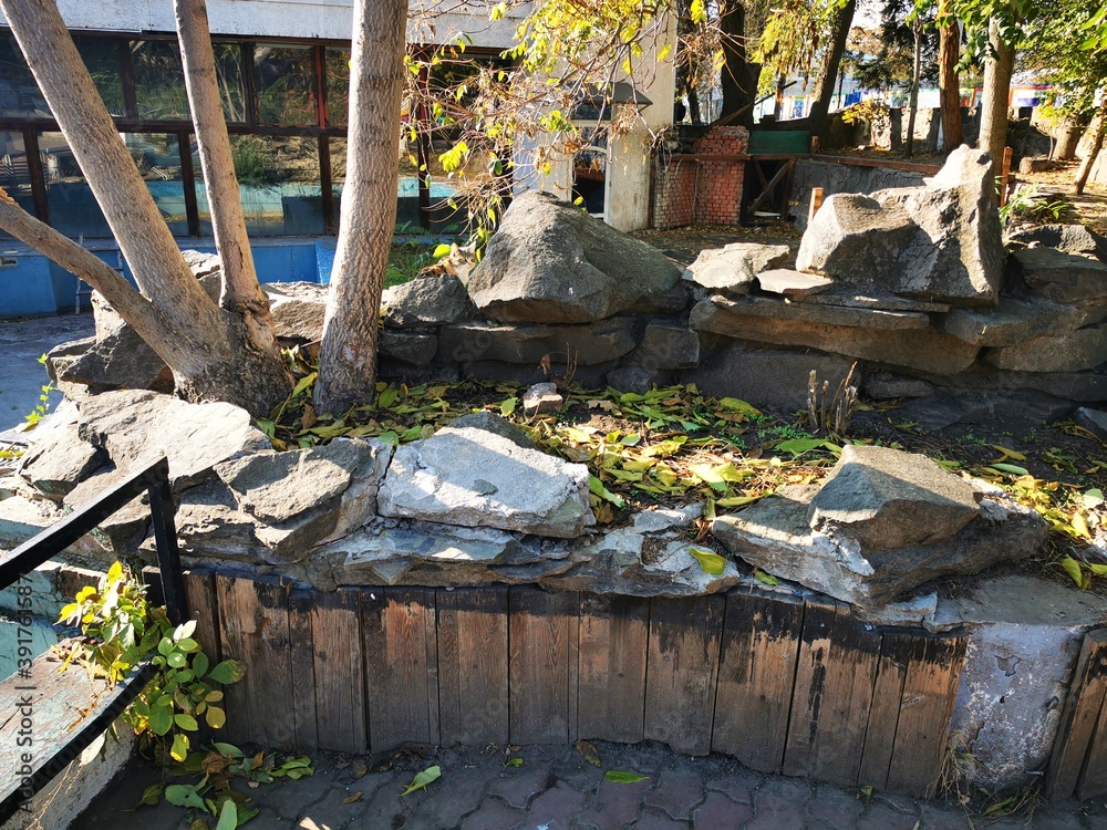 Obraz premium tropical garden