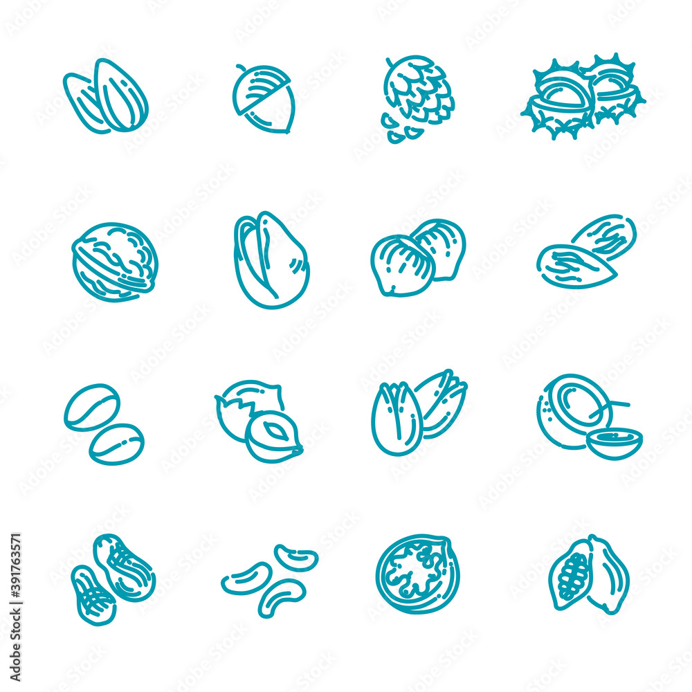 web icons collection - nuts, beans and seed. web icons collection - nuts, beans and seed.