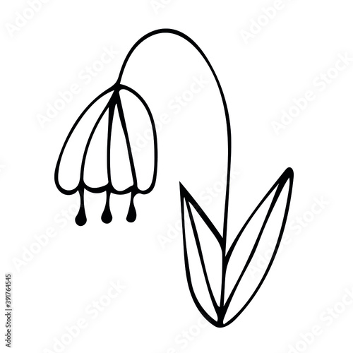 Single hand drawn scandi floral element.  Doodle vector illustration for greeting cards  wedding designs and logos.
